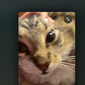 Meet your Posher, Itzel